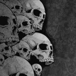 Skull Tournaments