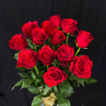 Rose.A.Lot