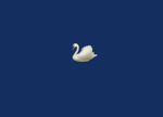 Blaire's Swan Society