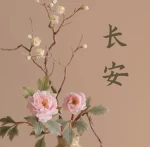 Chang'an Group Thumbnail