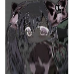 Aeternitas