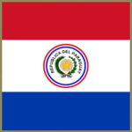 The Paraguayan Guerrilla Infantry