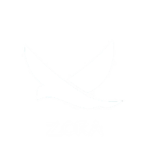 Zora Airways