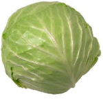 ^CABBAGE^