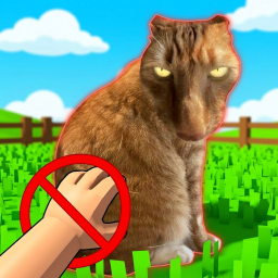 Don't wake the Cat