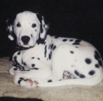 2cuteee