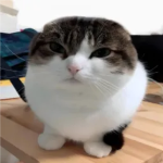 kawael