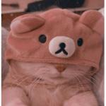 d ø l l i e s !~