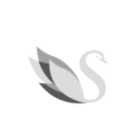 SS I| Swan Secondary