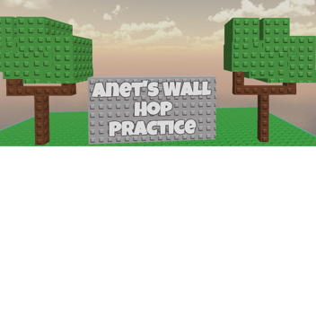 Anet's Wall Hop Practice