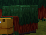 [9KT2MK]