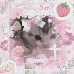 kitty-cat-cat