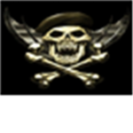 TSSO (The Skulled Special Ops)