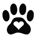 Dog's + Cats's