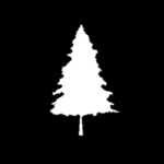 White Pine Studios