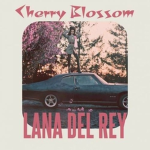 Ch3rry Bloss0m