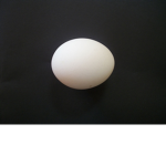 Egg Gang Group (EGG)