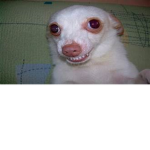 im tiredd