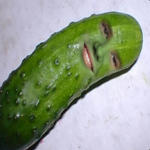 Korniszonki | Pickles