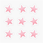 Sarah’s stars