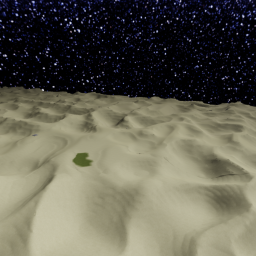 world seed