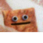 Lxst Lxsers