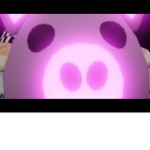 The Piggies!!!