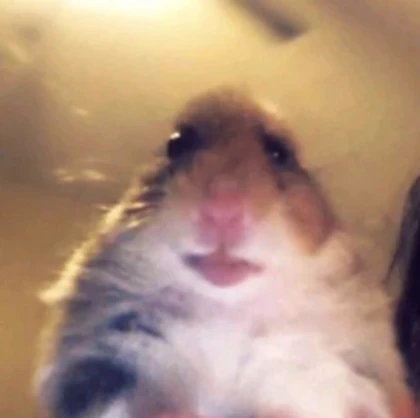 Hamster_Shop Roblox group icon