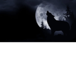 !Wolfie’s Pack!