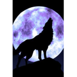 WolfyGames Fan Group!