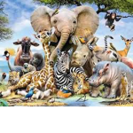 THE REAL ANIMAL FAN CLUB!!!