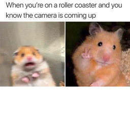 MEME OBBY! <3