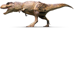 rex rawrr