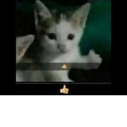 Testing