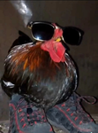 Group Thumbnail