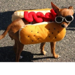 pog hotdogs Group Thumbnail