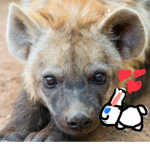 King hyenas and bunnys