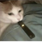 Anime and/or Manga Group