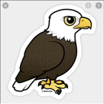 Eaglesssssss