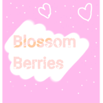 Blossom Berry Clothing