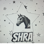 Starhorsevalley2