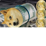 Doggod dudes