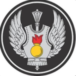 Феникс-X