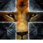 AlexMKLion Gang