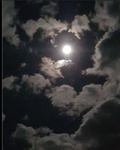 NightVibes<3