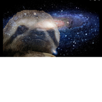 #LaZy sloths