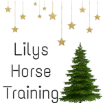 •Lily’s Horse Training•