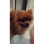 Coco De Loco