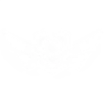 The Paracartography Division