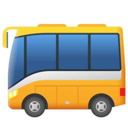 ChileanBuses